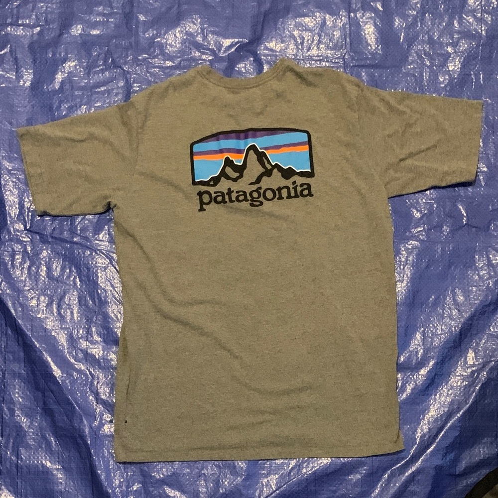 Patagonia Heather Gray Tee with Mountain Design